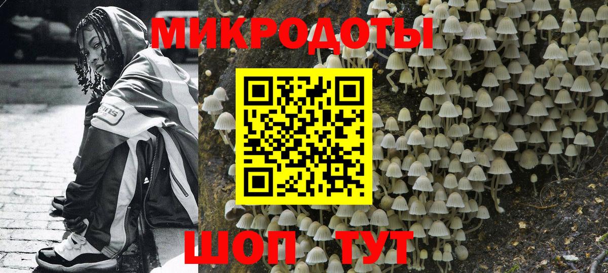 Галлюциногенные грибы мицелий Ревда