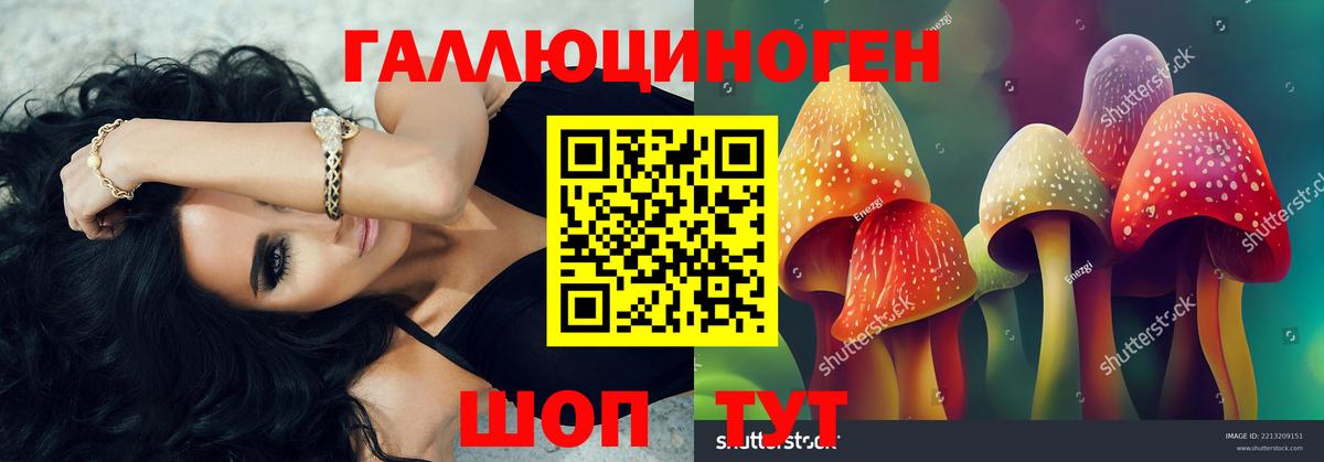 Ревда  Псилоцибиновые грибы Psilocybe  купить закладку  Вход с VPN 